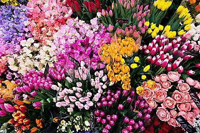 《小丑牌》发售三天 全平台销量现已超过25万套